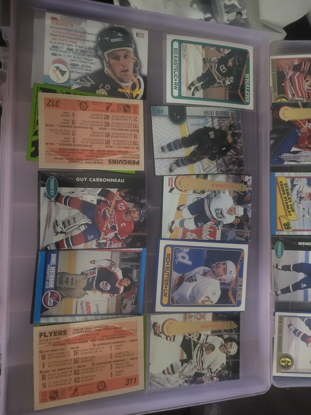 NHL Hockey Card Collection in Black White Blue and Red